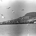 fotok 28932