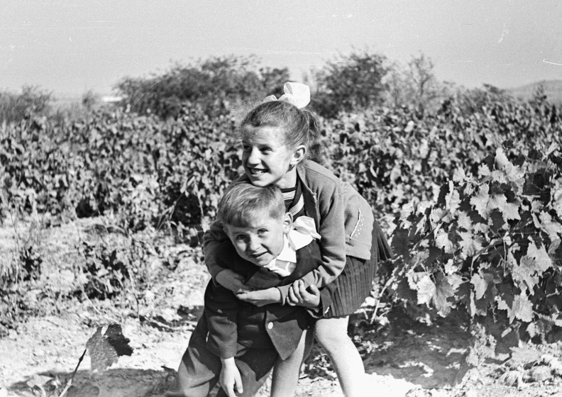 fotok_28936.jpg