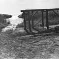 vízpart.