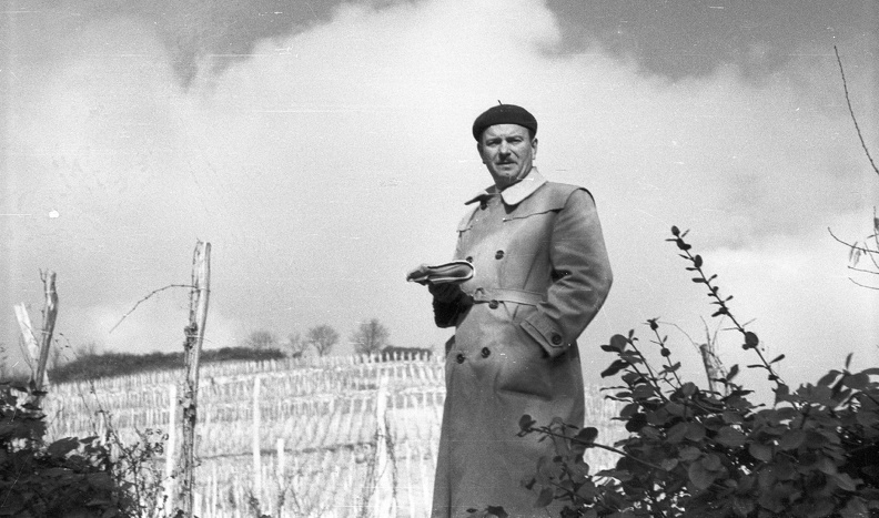 fotok_28954.jpg