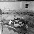 fotok 34039