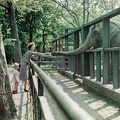 fotok 44851