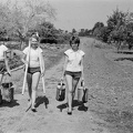 fotok 19794
