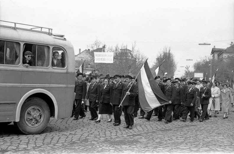 fotok_53021.jpg