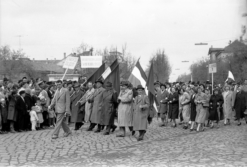 fotok_53023.jpg
