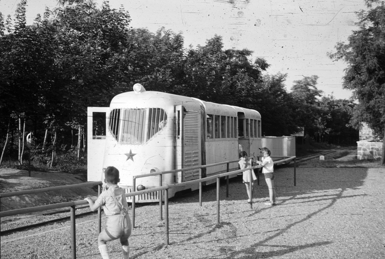 fotok_40506.jpg