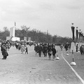 Ötvenhatosok tere (Felvonulási tér).