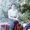 fotok 14836