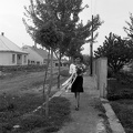 fotok 38547
