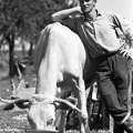 fotok 11926