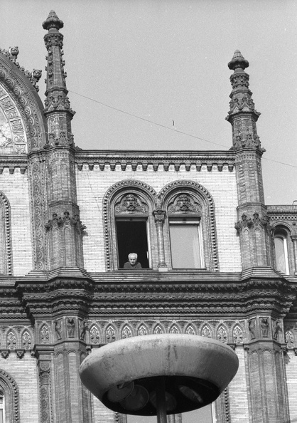 fotok_53587.jpg