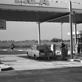 fotok 31505