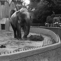 fotok 19810