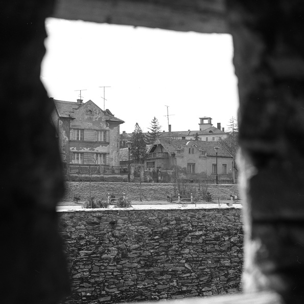 fotok_53946.jpg
