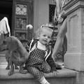 fotok 53934