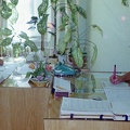 fotok 46213