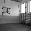 fotok 46249