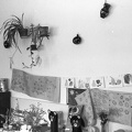 fotok 46312