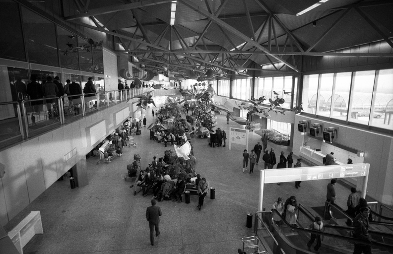 fotok_46609.jpg