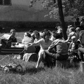 fotok 46597